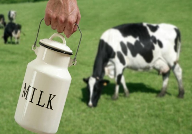 Η Παγκόσμια Ημέρα Γάλακτος (World Milk Day) εορτάζεται κάθε χρόνο την 1η Ιουνίου
